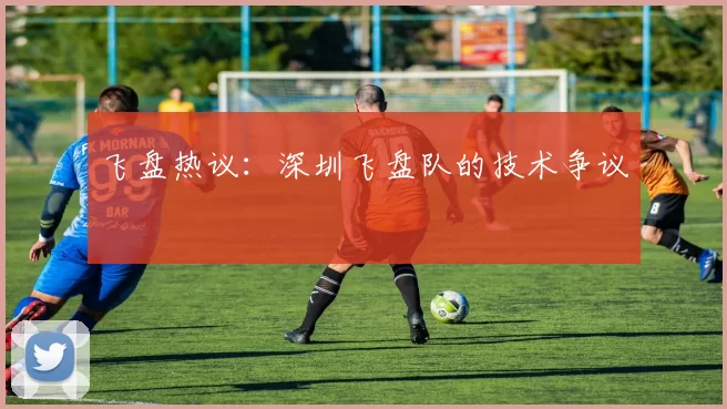 飞盘热议：深圳飞盘队的技术争议