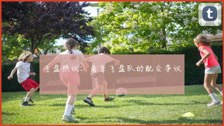 飞盘热议：南京飞盘队的配合争议