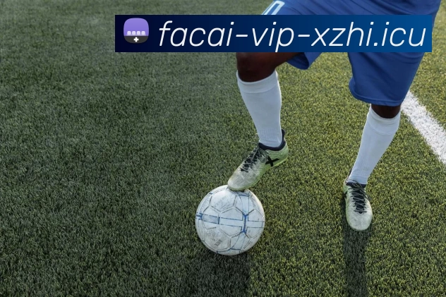 星空体育APP 高清赛事图